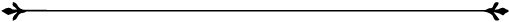 Seperator Line